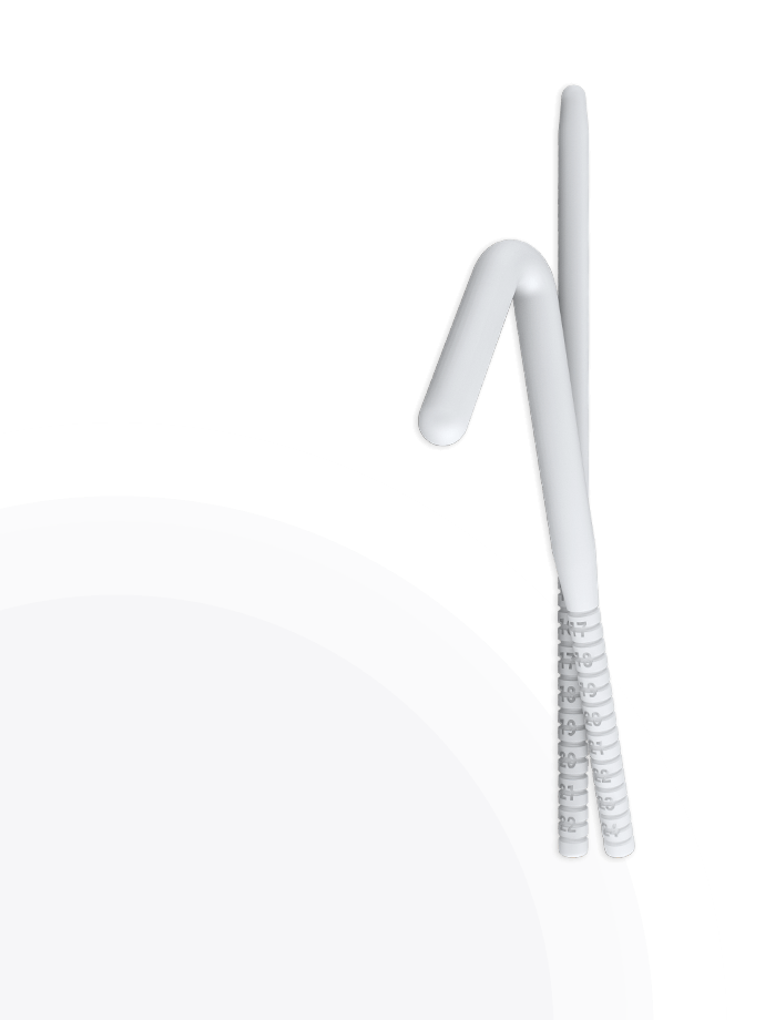 Rigi10e<sup>&trade;</sup>
